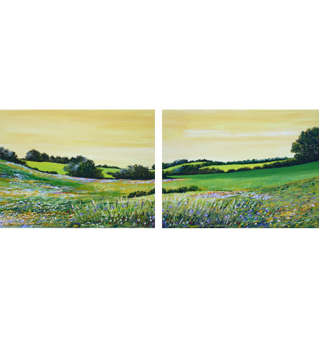 Landscapes